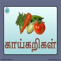 பாடங்கள்